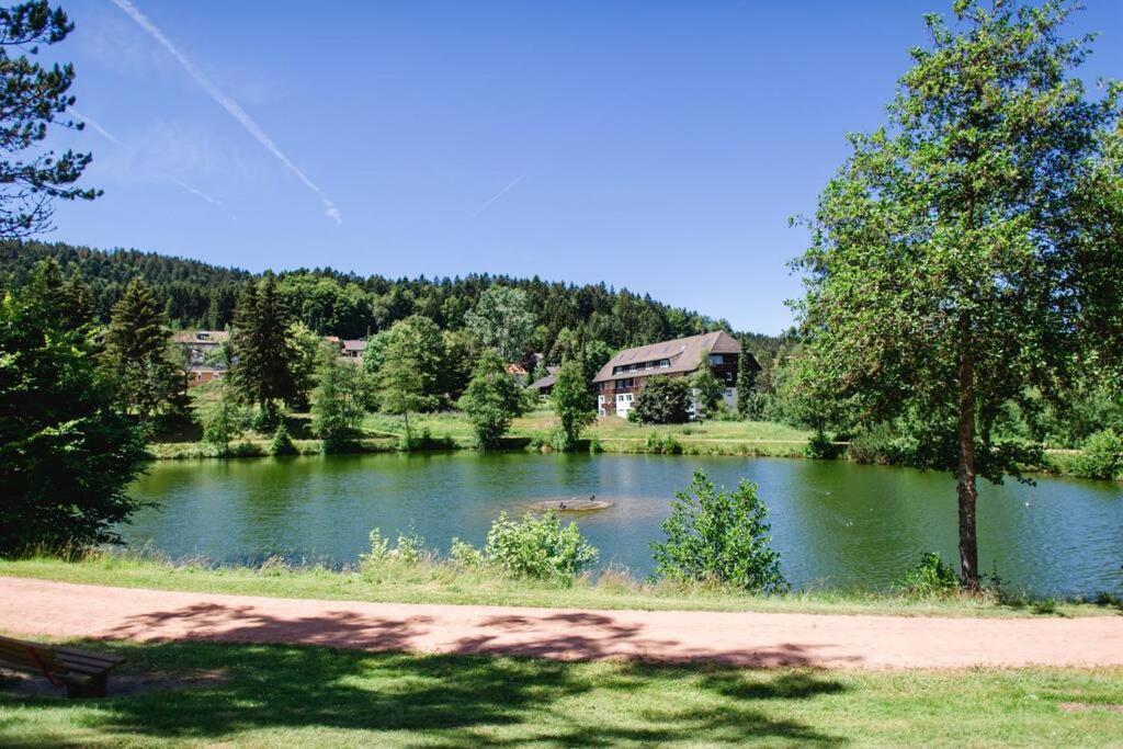 Ferienwohnung "Am Skilift" Herrischried Exteriér fotografie