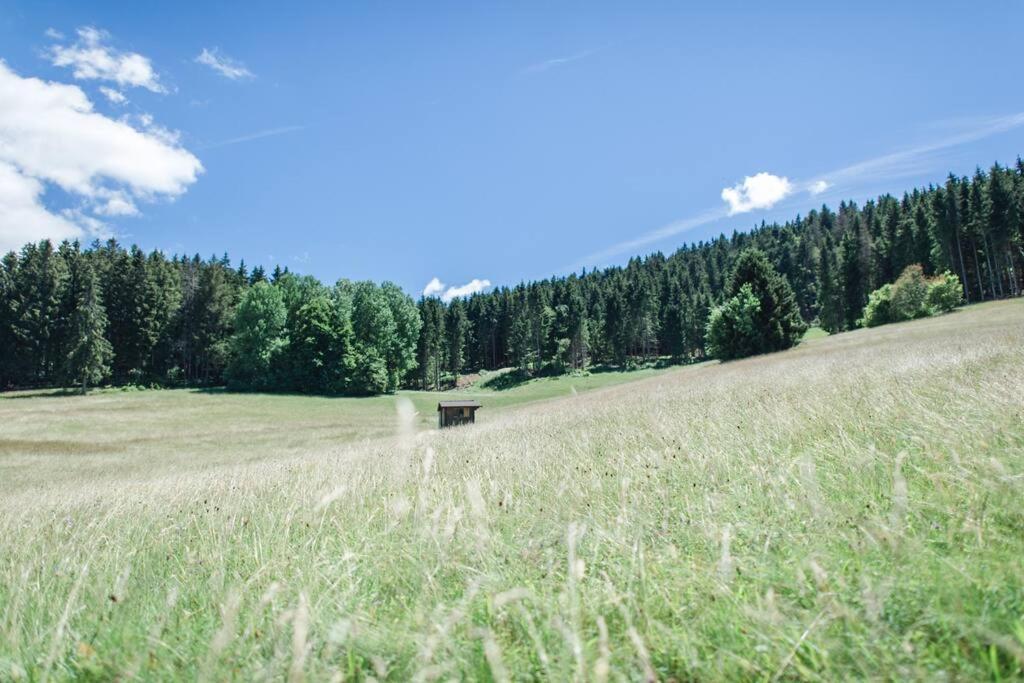 Ferienwohnung "Am Skilift" Herrischried Exteriér fotografie