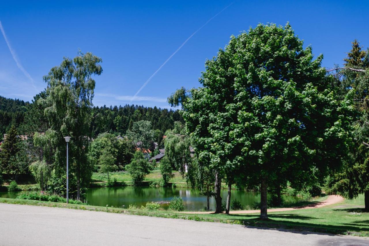 Ferienwohnung "Am Skilift" Herrischried Exteriér fotografie