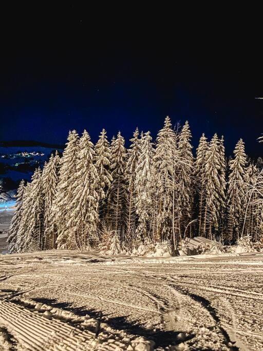 Ferienwohnung "Am Skilift" Herrischried Exteriér fotografie