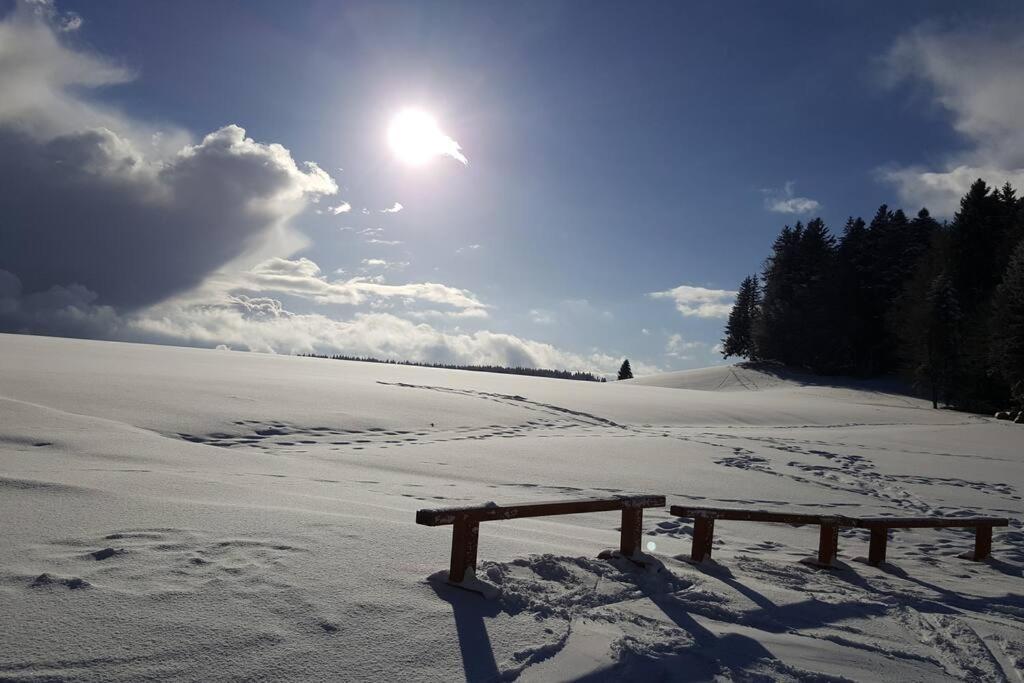 Ferienwohnung "Am Skilift" Herrischried Exteriér fotografie
