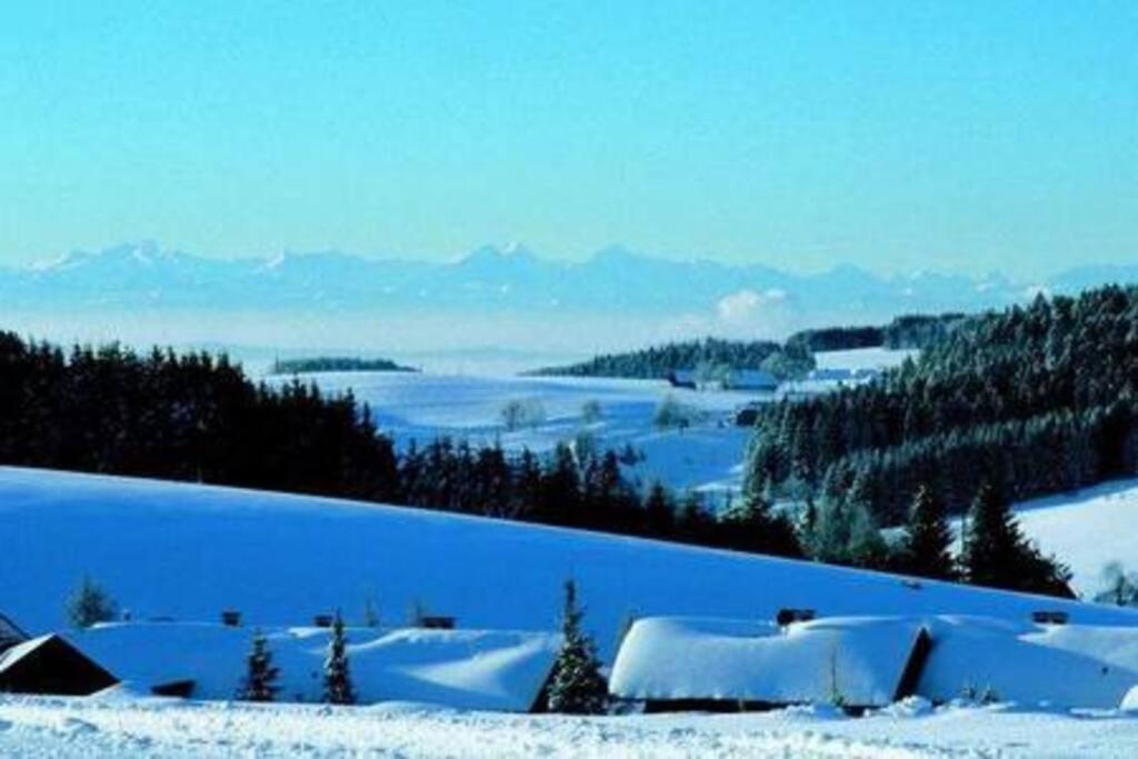 Ferienwohnung "Am Skilift" Herrischried Exteriér fotografie